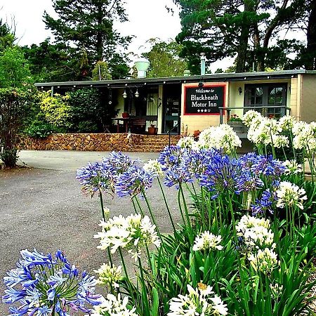 Blackheath Motor Inn Luaran gambar